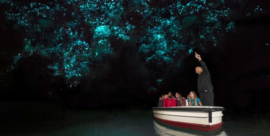 Rotorua to Auckland - Afternoon Transfer with Waitomo Caves - What You Can Expect During the Day