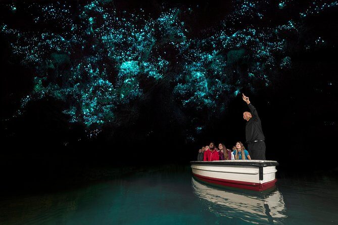 Rotorua to Auckland Afternoon Transfer with Waitomo Glow Worms - Transportation and Group Size