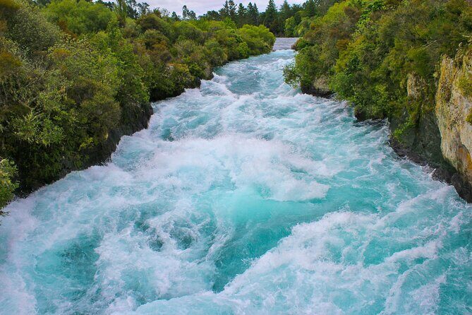 Rotorua to Auckland via Taupo and Hamilton Gardens Tour (one-way) - What’s Included and What’s Not