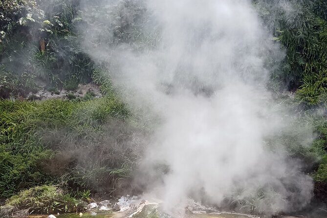 Rotorua to Waimangu Volcanic Valley Morning Shuttle - Pricing and Value