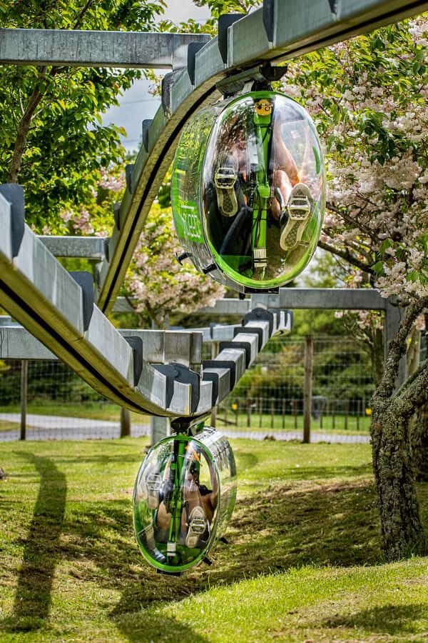 Rotorua: Velocity Valley Share Packages 6, 8, 10 - Who Should Consider This Experience?