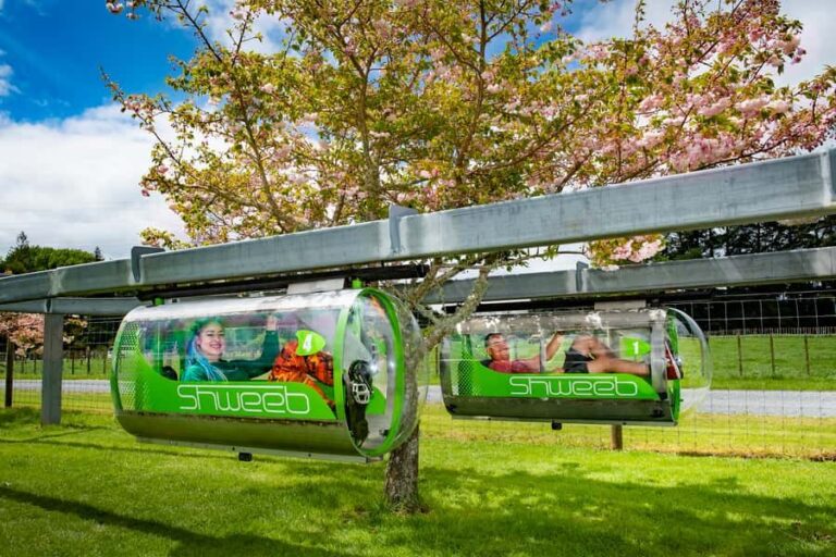 Rotorua: Velocity Valley - Two Ride Pass - An In-Depth Look at the Velocity Valley Experience