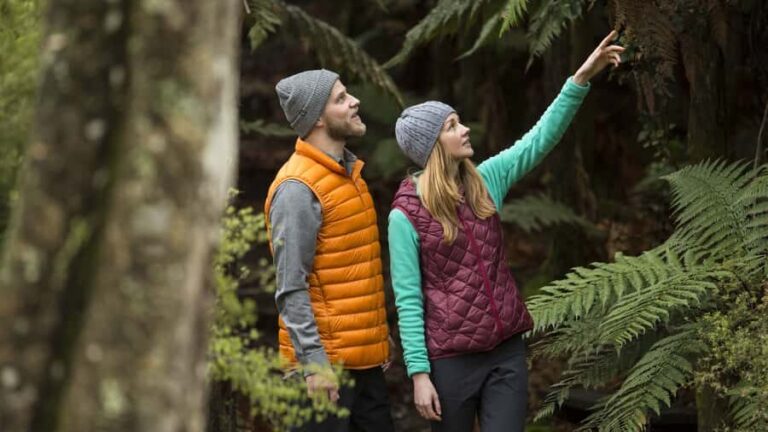 Rotorua: Waimangu Volcanic Valley Entry Ticket - Value and Practical Tips