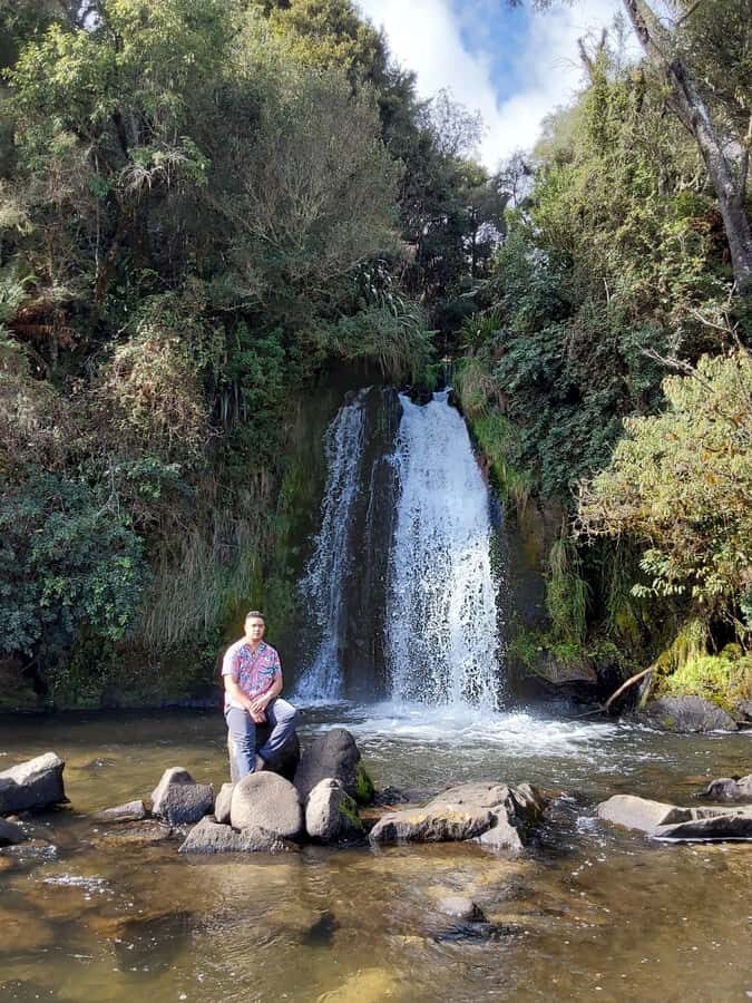 Rotorua (:) Whirinaki Forest Day & Night Walking With Us - Key Points
