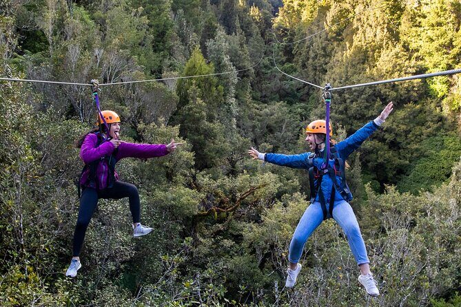 Rotoruas Ultimate Zipline: 6 ziplines, 400 m Tandem, Cliff Walk - Pricing and Value: Is It Worth It?