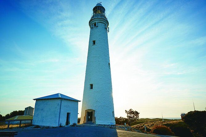 Rottnest Bayseeker Bus Tour from Hillarys Boat Harbour - The Itinerary Breakdown: What to Expect