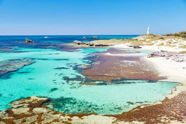 Rottnest Grand Island Package with Ferry, Tour & Light Lunch - Detailed Breakdown of the Itinerary