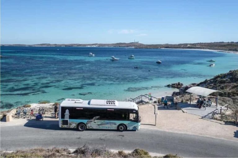 Rottnest Island 1.75 Hour Bayseeker Island Tour - Why This Tour Works Well