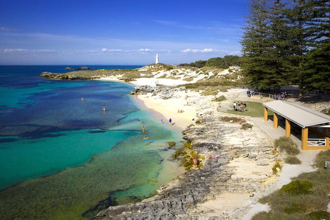 Rottnest Island Fast Ferry from Hillarys Boat Harbour Including Bike Hire - What to Expect on Your Day