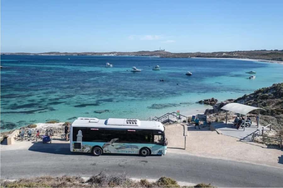 Rottnest Island Ferry and 1.75 Hr Bus Tour - Arriving and Setting Out