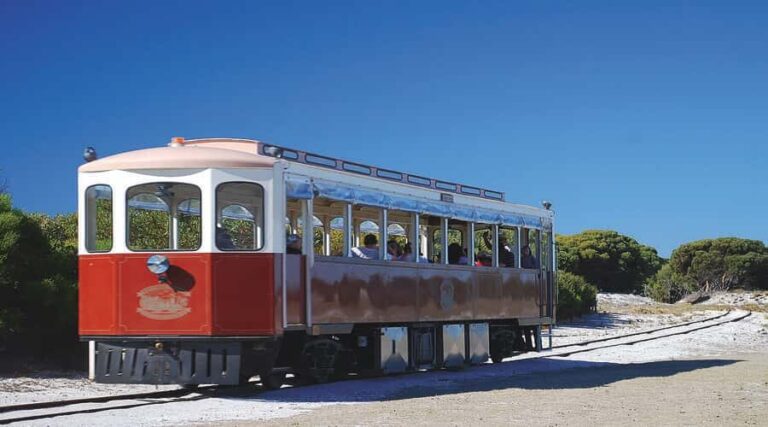 Rottnest Island: Grand Bus and Train Tour with Lunch - What Makes This Tour Stand Out?