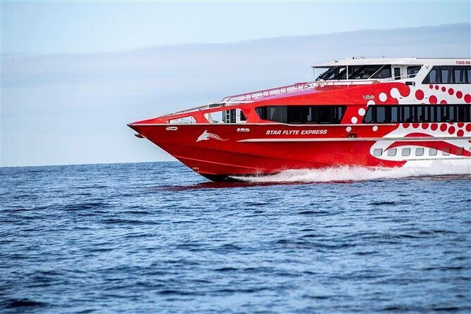 Rottnest Island Round Trip Ferry from Fremantle - Why It’s a Good Choice
