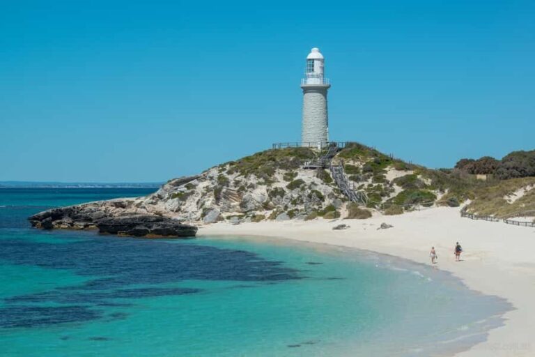 Rottnest Island Segway 1-Hour Settlement Tour - How the Tour Works: Logistics and Meeting Details