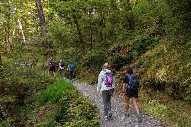 Routeburn Track Guided Hike (Full Day) - What the Reviews Say