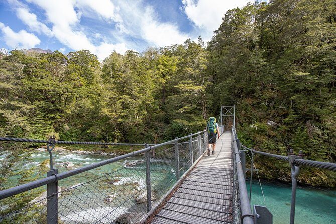 Routeburn Track Guided Walk (Half-Day) - The Experience from Reviews