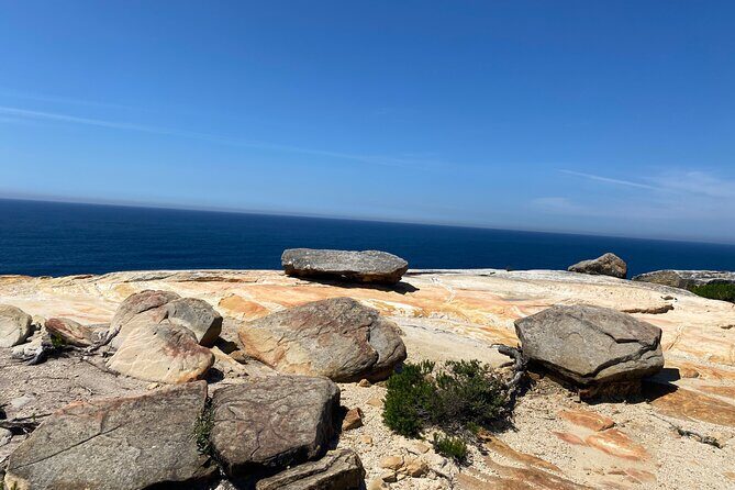 Royal National Park Wilderness Half-Day from Sydney with Picnic - FAQs