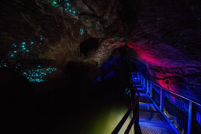 Ruakuri Cave and Hamilton Gardens Private Day Tour from Auckland - Practical Tips for Making the Most of Your Day