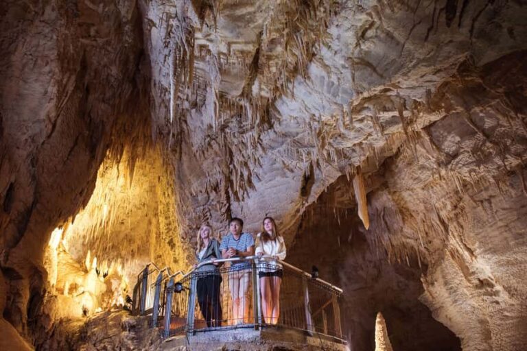 RUAKURI CAVE & HAMILTON GARDENS-PRIVATE TOUR FROM AUCKLAND - Practicalities and Value