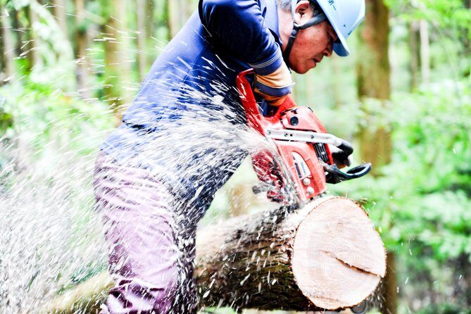 Rural Forestry Tour in Aso Minamioguni - An In-Depth Look at the Tour Itinerary