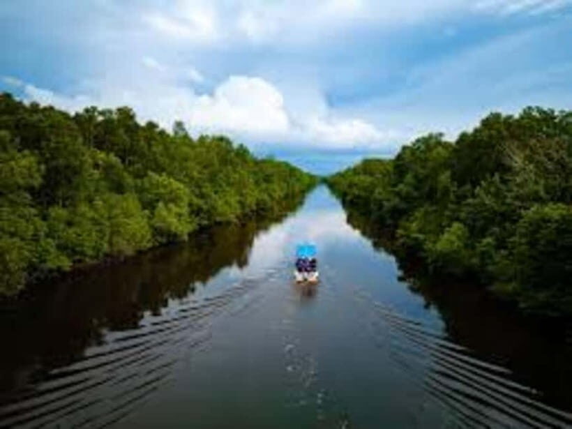 Sabah: Kawa Kawa Private River Cruise w/ Monkeys & Fireflies - Why This Tour Is Worth Considering