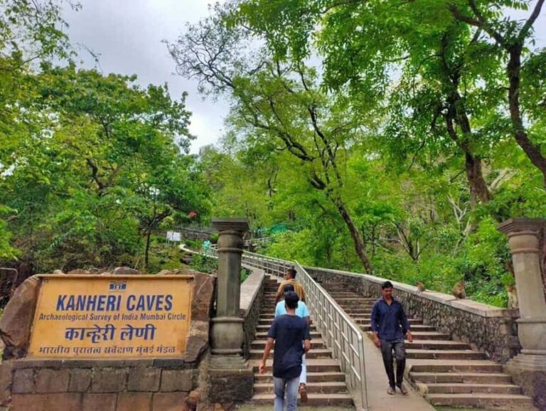 Sacred Caves & Green Escape: Kanheri Buddhist Caves & SGNP - In-Depth Breakdown of the Tour