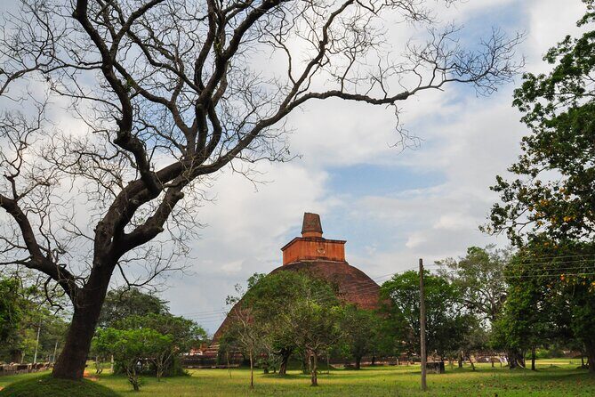 Sacred City of Anuradhapura from Sigiriya - Transport and Comfort