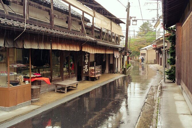 Sacred Mount Yoshino Guided Tour UNESCO Kii Mountain Range - Practical Details: What to Expect