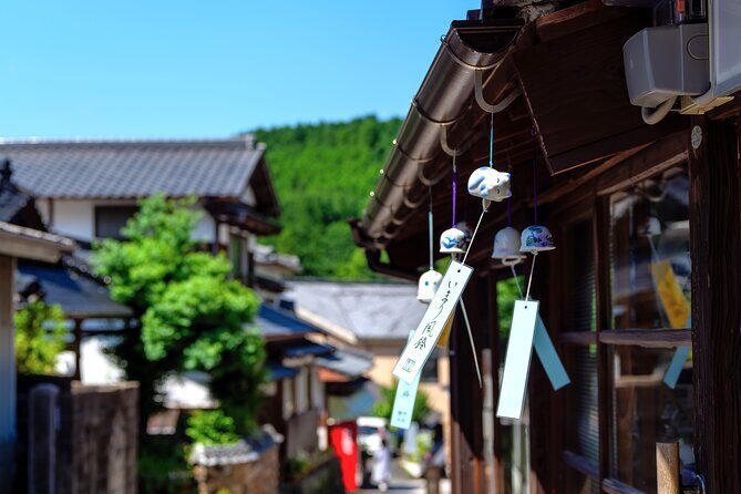 Saga: Arita and Imari Ceramic Hidden Klins Private Guide Tour - Who Should Consider This Tour?