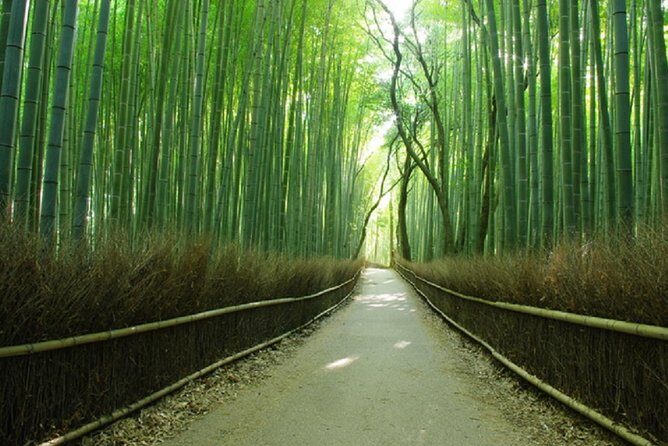 Sagano Romantic Train & Arashiyama, Kiyomizudera, Fushimi Inari Taisha Day Tour - What Do Travelers Say?