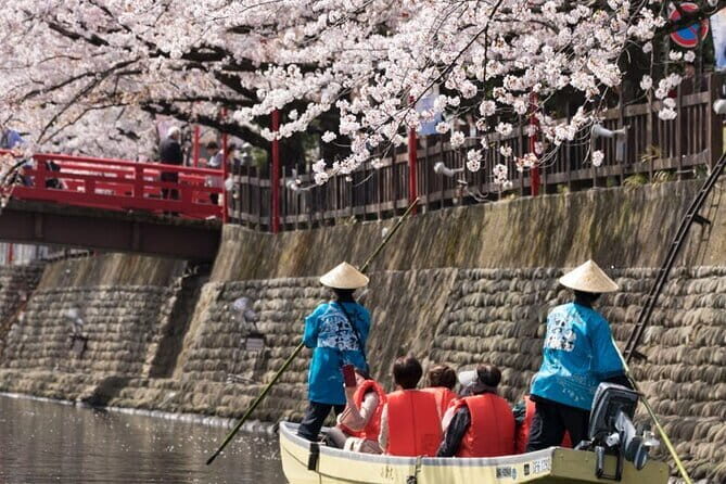 Sakura Magic and Nabana No Sato Day Tour From Osaka - What’s Included and What’s Not