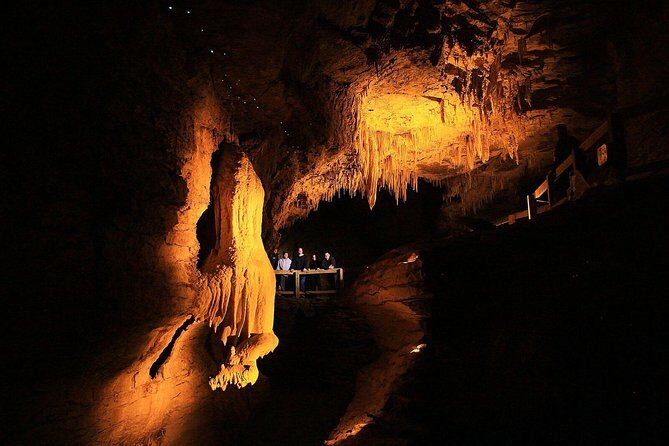 Sanctuary Mountain (Mt Maungatautari) & Waitomo Luxury Day tour from Auckland - What This Tour Means for You