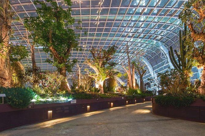 SandsSkyPark+GardensbytheBay(FlowerDome&Jurassic World)Transfers - Final Thoughts