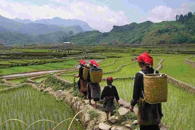 Sapa Easy Trekking For Seniors -4 Hours- The Stunning Rice Fields - Who Will Enjoy This Tour Most?