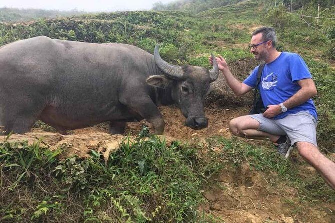 Sapa private: One day of funny Buffalo Ride & Trekking Tour - Cultural Immersion at Lu Khau and Xa Xeng