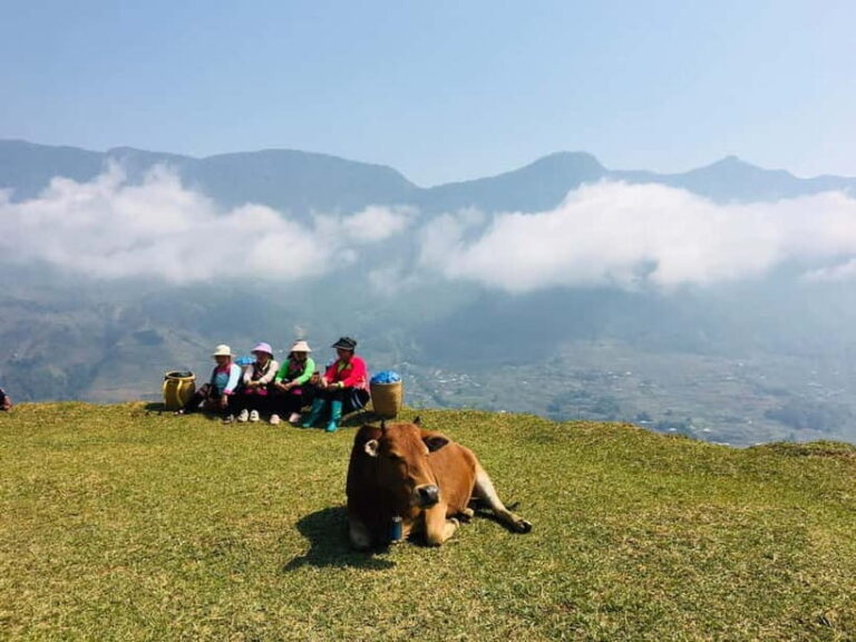 Sapa Trekking Guide Francophone 2 days  1 night - A Closer Look at the 2-Day Sapa Trekking Tour