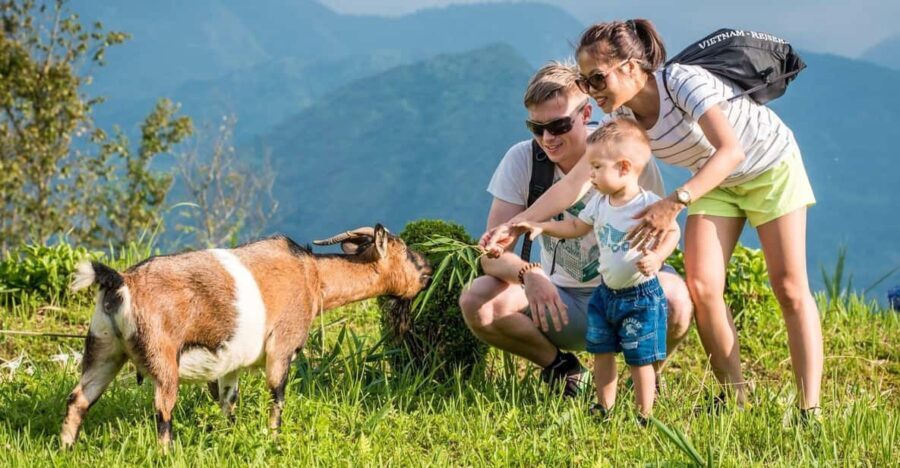 SAPA TREKKING & HOMESTAY: 3D2N - What’s Included and What to Consider