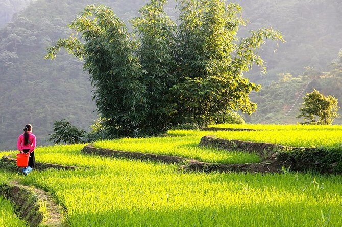 Sapa Valley Trek and Homestay - 3D2N - What Makes This Tour Stand Out?