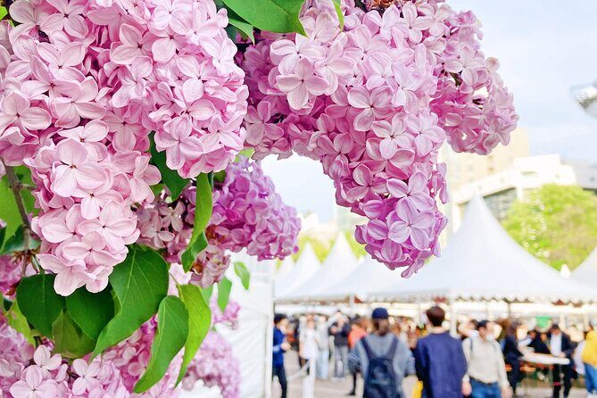 Sapporo City Tour and Seasonal Events in Odori Park Exploration - Detailed Breakdown of the Itinerary