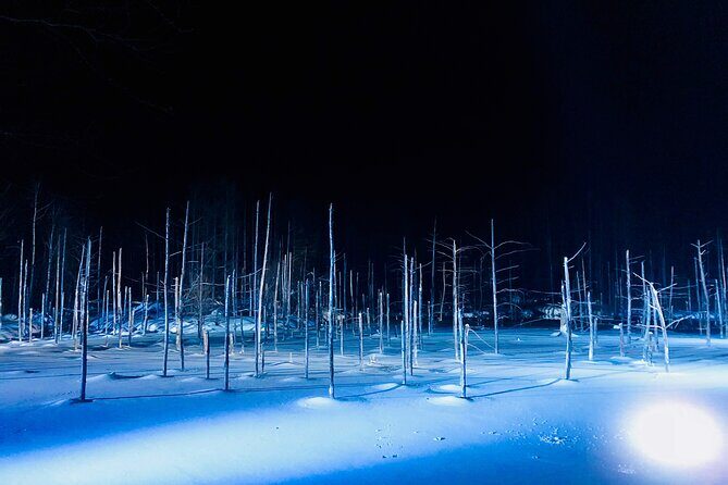 Sapporo to Blue Pond & Shirahige Falls Furano Private Tour - What Makes This Tour Stand Out?