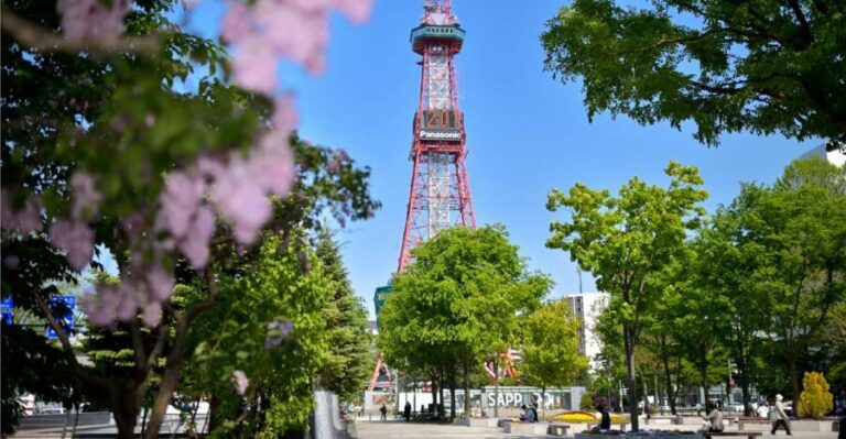 Sapporo TV Tower Admission Ticket - The Practicalities: What to Expect