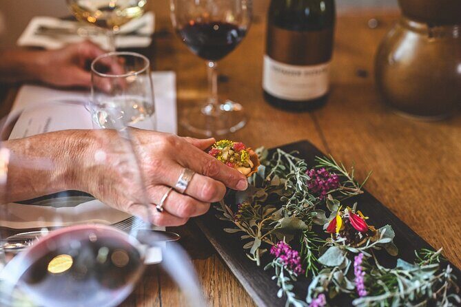 Savour Voyager Wine Tasting - The Quality of the Wines and Guides