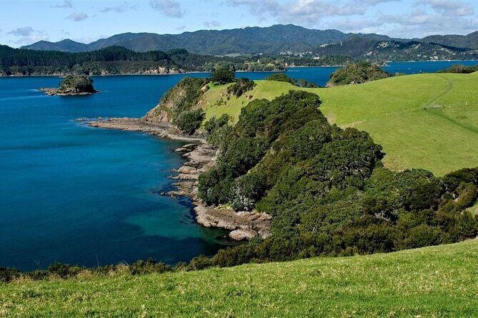 Scenic Bay of Islands Escape: Private Full-Day Tour from Auckland - Who Will Love This Tour?