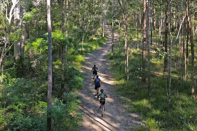Scenic eBike of the Noosa Biosphere Trail Network - The Bikes and Equipment