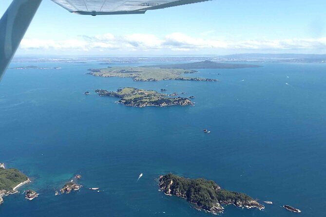 Scenic Flight Tour Around Waiheke Island - The Review of Experiences: Authentic Perspectives