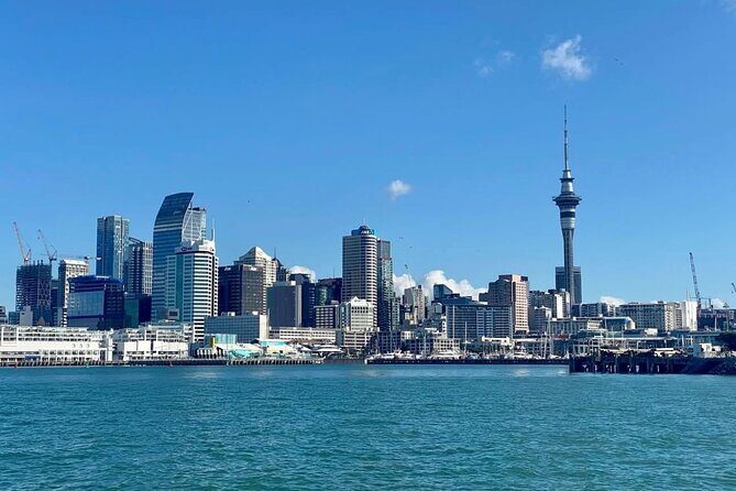 Scenic Harbour Cruise in Auckland - Seating and Atmosphere