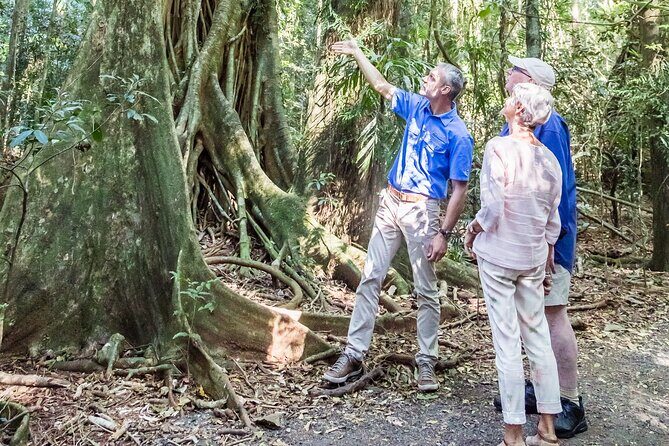 Scenic Hinterland Guided Day Tour Inc Lunch, Tastings From Noosa - Price and Value