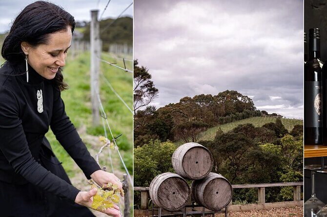 Scenic Maori Cultural Tour Of Waiheke Island With Lunch - Scenic Wine Tasting at Batch Winery