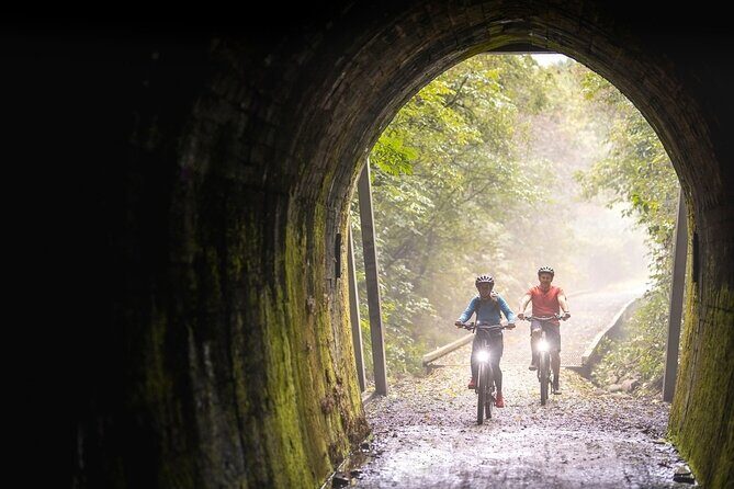 Scenic Spooners Tunnel Adventure in Nelson Tasman - Authentic Traveler Insights