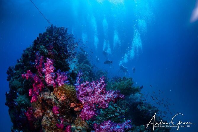 Scuba Dive the S.S. Yongala Wreck on the Great Barrier Reef. - Who Is This Tour Best For?