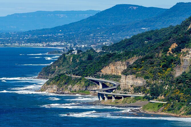 Sea Cliff Bridge, Kiama Blowhole, Beaches & Wildlife Small Group - Highlights from Reviews